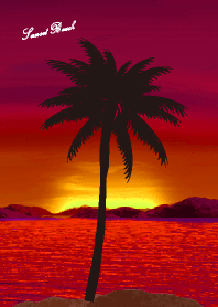 Sunset Beach 305