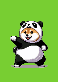 Pixel art panda costume fat shiba