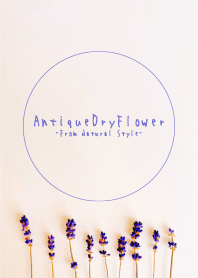 Antique dried flowers 11