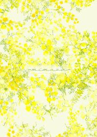 Mimosa theme.