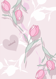 Tulips are studded3.