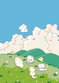 Beautiful Cloud Bunny