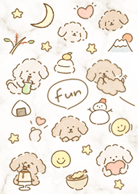beige Toy Poodle's Year-End 03_2