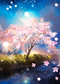 Beautiful night cherry blossoms#1150