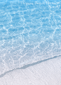 Tropical Beach Photo17 Not AI