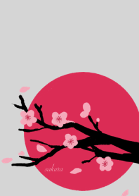 Sakura and sun