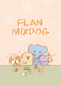 FLAN MIXDOG 春天