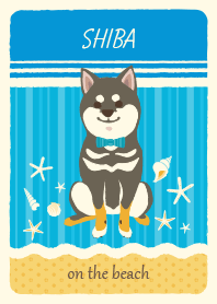 Black SHIBA on the beach!