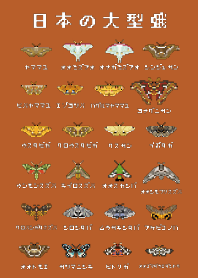 ドット絵昆虫 日本の大型蛾