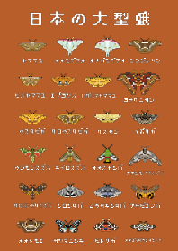 Pixel art of Moth