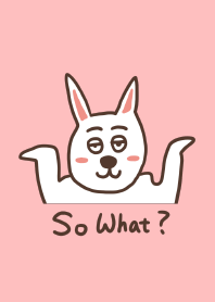 Fangpi to so what rabbit