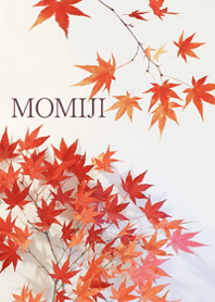 Maple leaves in autumn13.