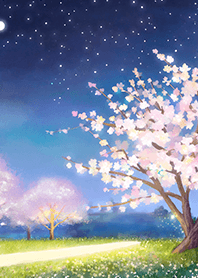 Beautiful night cherry blossoms#1714
