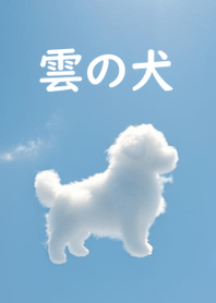 A dog in the clouds