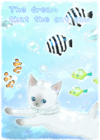 The dream that the cat saw