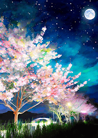 美しい夜桜の着せかえ#937