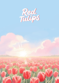 Field of Red Tulips