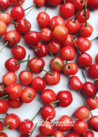 サクランボ♪