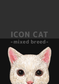 ICON CAT - Mixed breed cat - BLACK/10