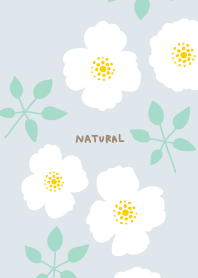 2types of white flowers leaves11 Japan