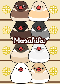 Masahiko Round and cute Java sparrow