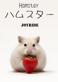 ハムスター : Hamster3_2