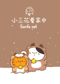小三花看家中Sanfa cat-麋鹿貓在熱身