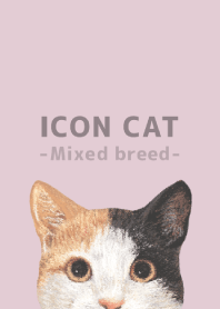 ICON CAT -Mixed breed cat- PASTEL PK/04