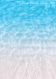 Tropical Beach Photo 278 Not AI