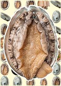 Abalone Yellow