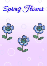 Spring Flower