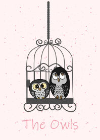 貓頭鷹在籠子裡