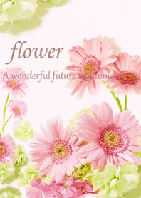 Happy gerbera flower5.