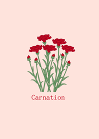 The warmth of carnations