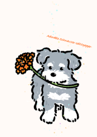 Adorable Schnauzer-salt&pepper-