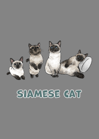 siamesecats3 / dim grey