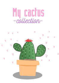 My cactus collection