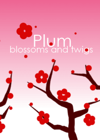 Plum blossoms and twigs ~梅の花と枝~