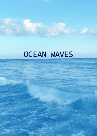 OCEAN WAVES HAWAII -SEA- 28
