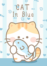 Orange Cat in Blue!
