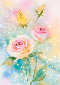 Beautiful rose flower(R1379)