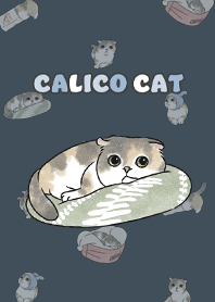 calicocat2 - indigo