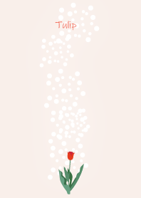 March's birth flower,red tulips.