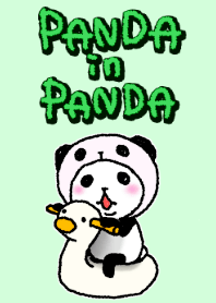 Panda in panda