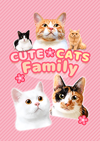 CUTE CATS Family PINK