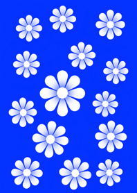 White Flower [ Blue ] No.2