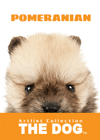 THE DOG ポメラニアン 2