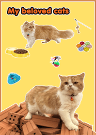 my be loved cats