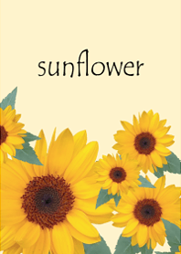 Happy happy sunflower10.