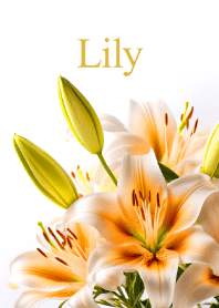 "Lily vol.5" theme